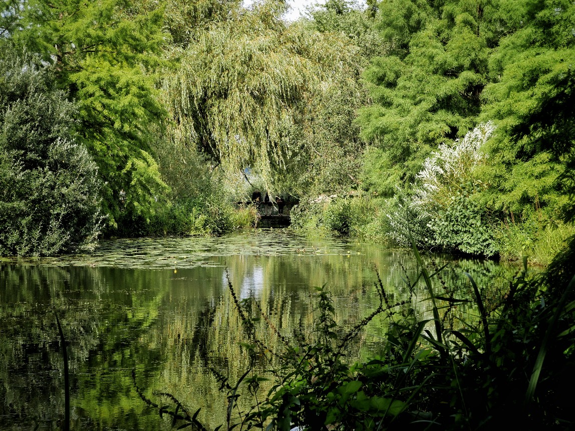 Loki Schmidt Garten