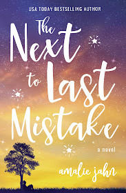 The Next to Last Mistake by Amalie Jahn