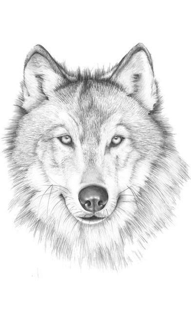 Dibujo de lobo para Tatto | dog ideas wolves