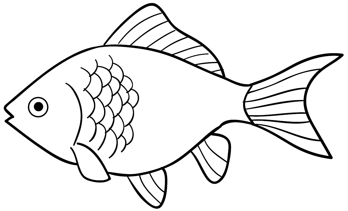 Sketsa Gambar Ikan Mas Garlerisket