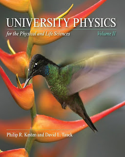 University Physics for the Physical and Life Sciences Volume 2 PDF