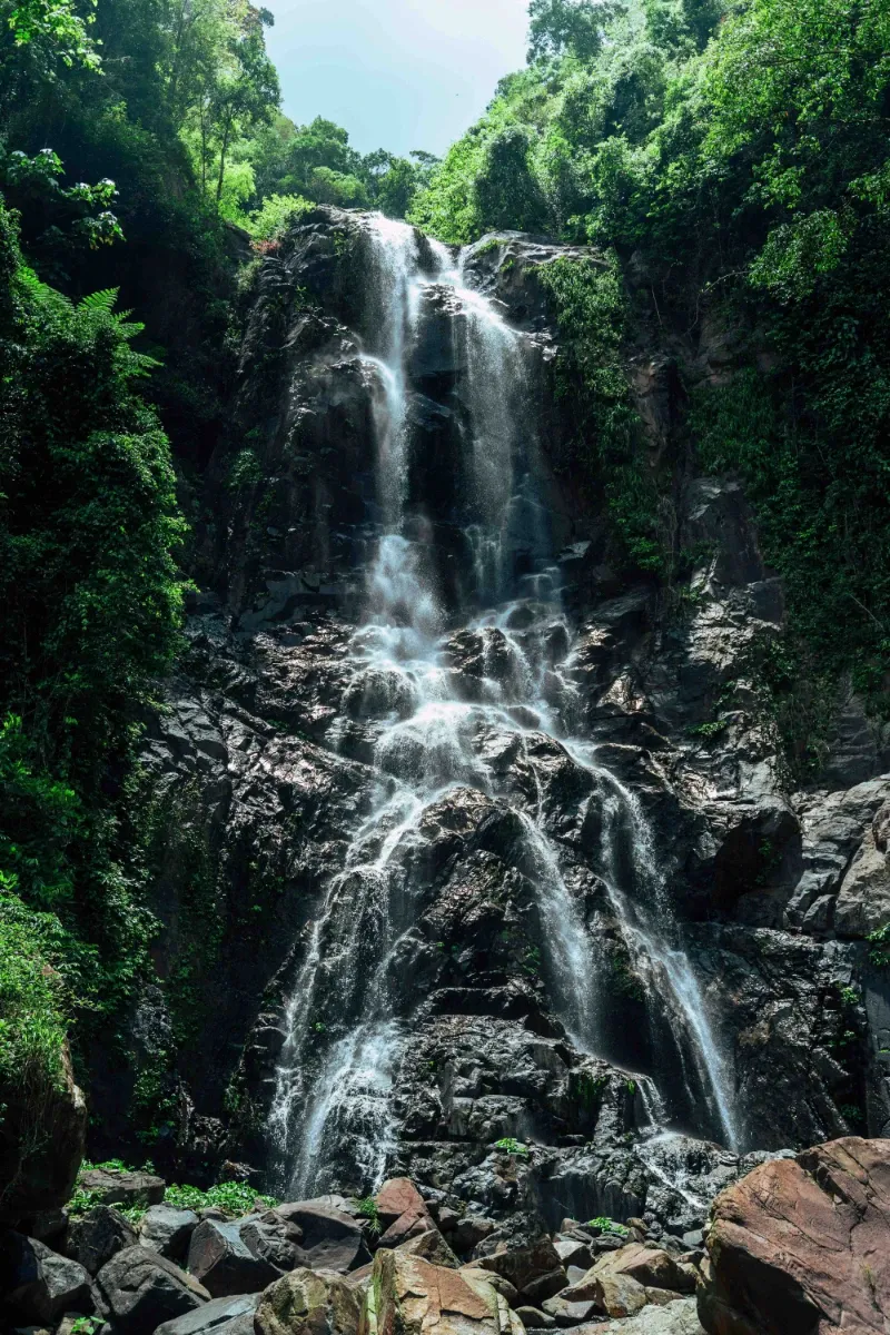 Khao Luang National Park is one of Thailand’s best kept tourism secrets. Photo by Anuchit Ngoylung