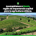 Cumbre Agrogenera Maule 2024 profundizará en las oportunidades de la región para la agricultura sostenible frente al cambio climático