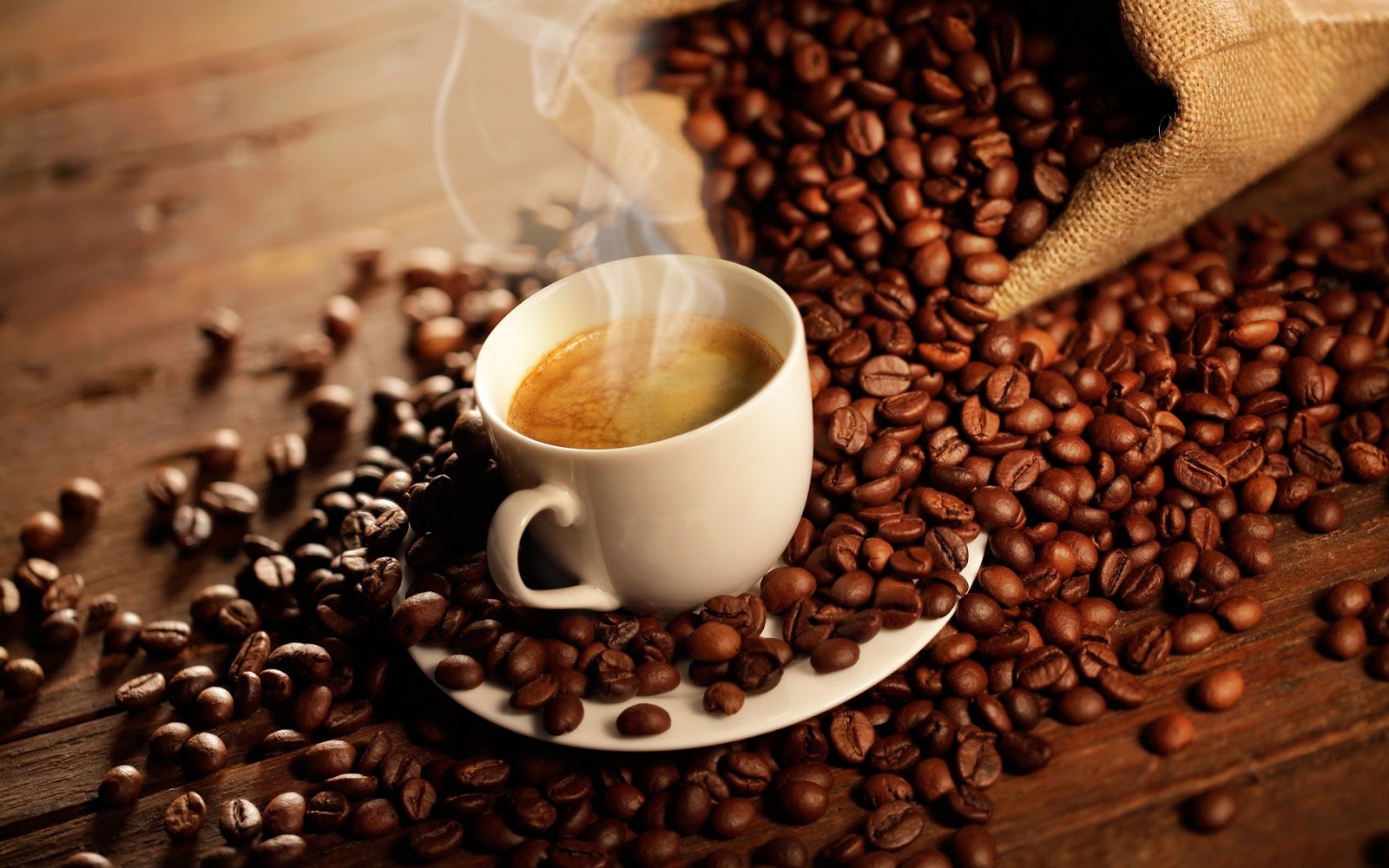 jual kopi  robusta dan arabika