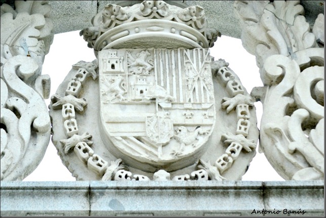 4_DSC4646a