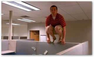 owling the cubicle