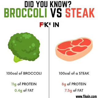 proteina em broculos e em bife