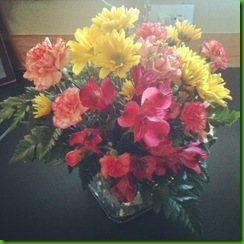 iPhone pictures 243