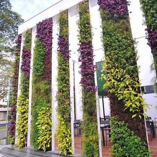 Jasa tukang taman vertical garden surabaya taman vertikal 