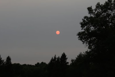 Summer sky clouded by wildfire smoke from Canada