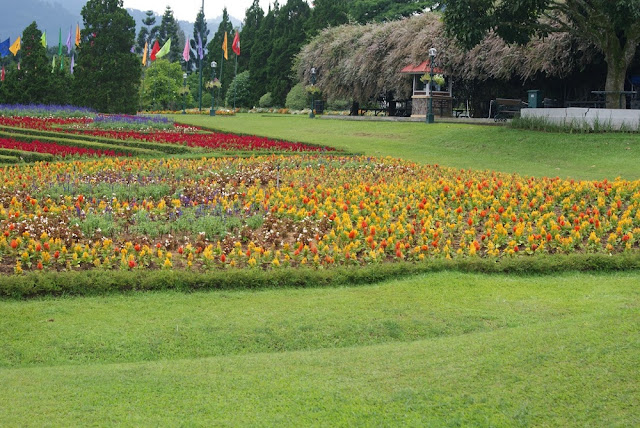 Taman Chidayu, Wisata Cantik Dengan Hamparan Bunga Warna-Warni