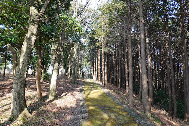 鳥取県西伯郡大山町妻木 むきばんだ史跡公園 弥生の森の遊歩道