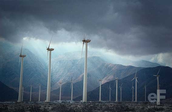 Ed Freeman