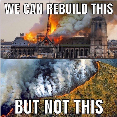 NotreDame Cathedral vs Amazon Rainforest burning