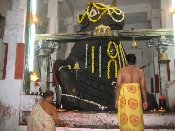 Khám phá đền thờ Bò Ấn Độ