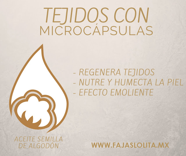 www.fajaslolita.mx 