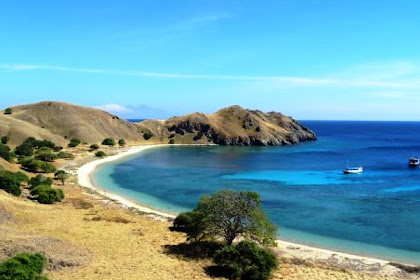 Komodo Island Declare as New Seven Wonder by UNESCO