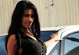 Poonam Pandey Hot Pics wallpaper 