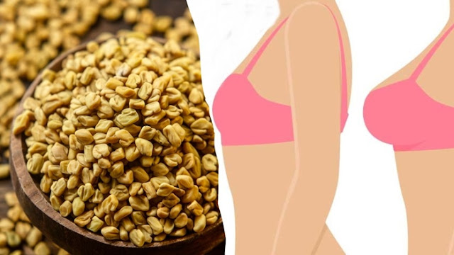 [Image: Things%20Needed%20For%20Fenugreek%20Brea...gement.jpg]