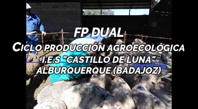 FP Dual de Producción Agroecológica