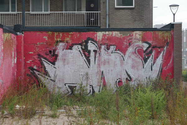 Braaklandje met graffiti, Arnhem, oktober 2020.