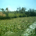 Kampung yang tertinggal