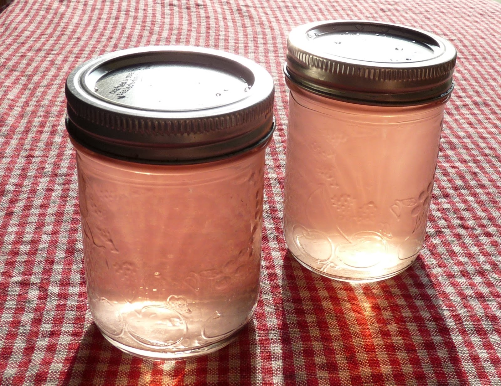 Seasonal Ontario Food: Chervil or Other Herb Vinegar