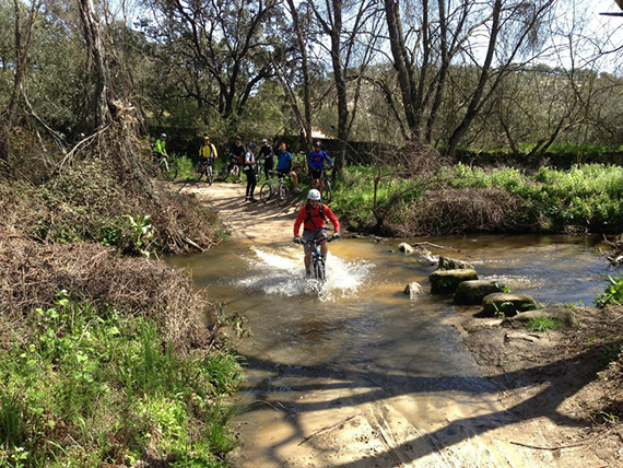 Unas fotos de nuestra ruta de Tres Cantos a Las Matas - Abril 2013