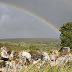 Beautiful Rainbow in The Burren