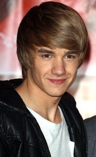 BIODATA LIAM PAYNE (ONE DIRECTION)