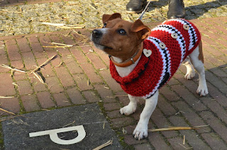 sweater for dogs