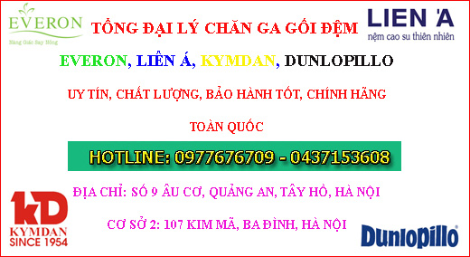 Đệm Hà Nội