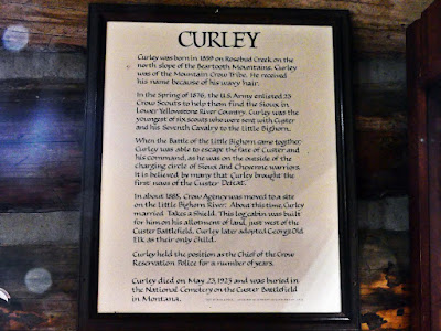 Curley