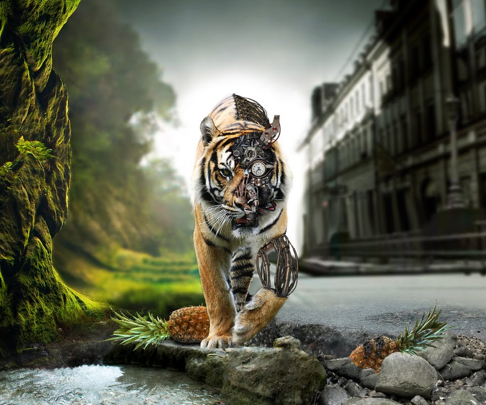 Animated HD Tiger Tablet PC Wallpapers Wallpapers ,Backgrounds 