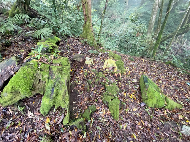 回往他果晏山