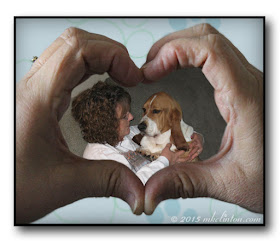 Hands making heart with dog and lady inside