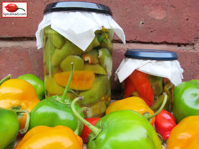 Pickled Chillies - 16th October 2023