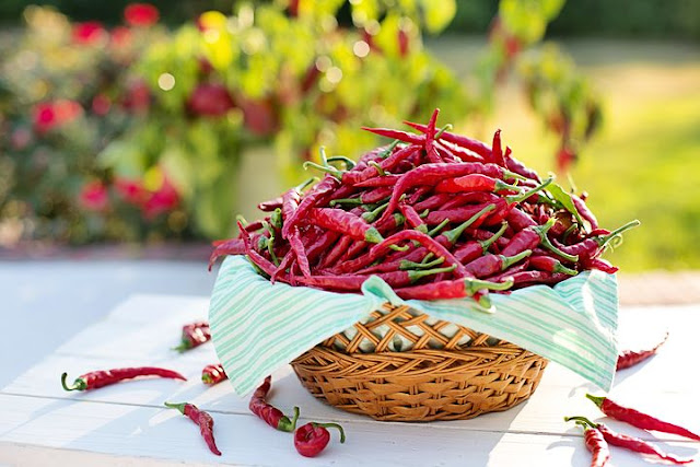 5 Amazing benefits of eating hot pepper