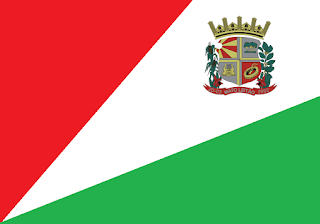 Bandeira de Mato Leitão RS