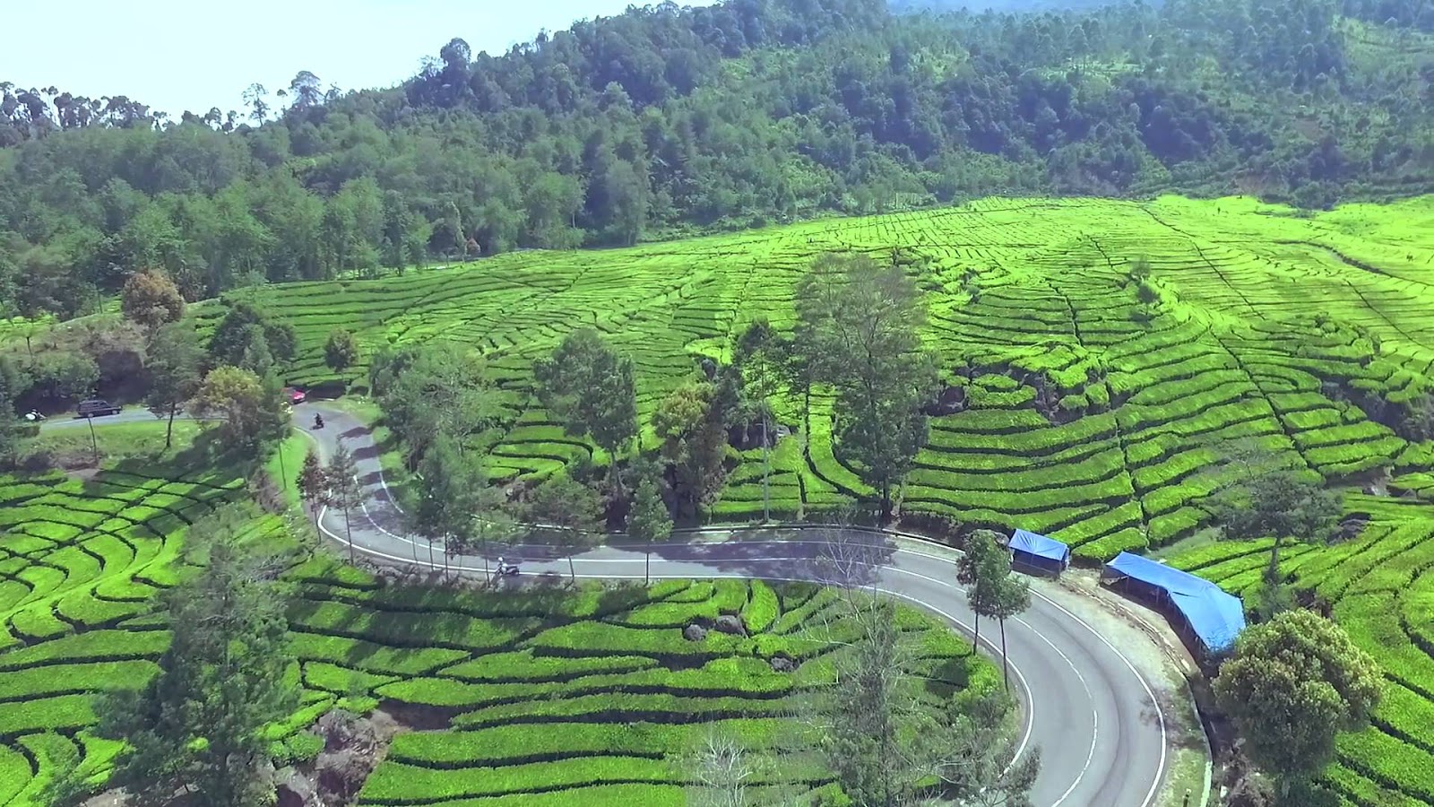 Pemandangan Desa Persawahan Keindahan Sawah