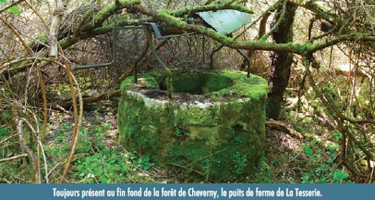Les puits de Cheverny et Cour-Cheverny