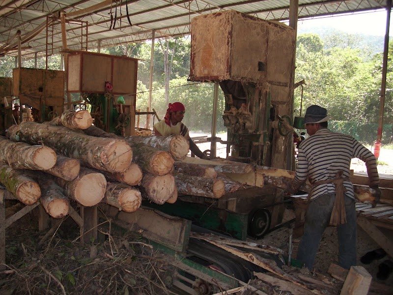 16+ Inspirasi Baru KILANG Kayu