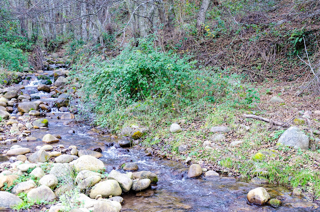 Castroviejo (La Rioja)