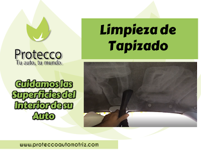  Tapiceria Automotriz Protecco