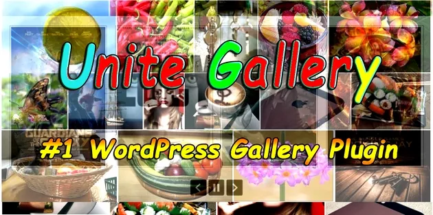 gallery plugin WordPress, video plugin WordPress