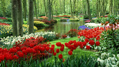 #9 Great Flowers Garden Wallpapers