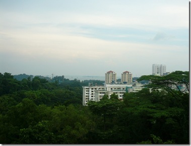 P1130790