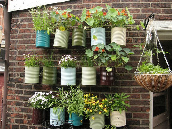 Blumenschmuck auf Balkon und Terrasse