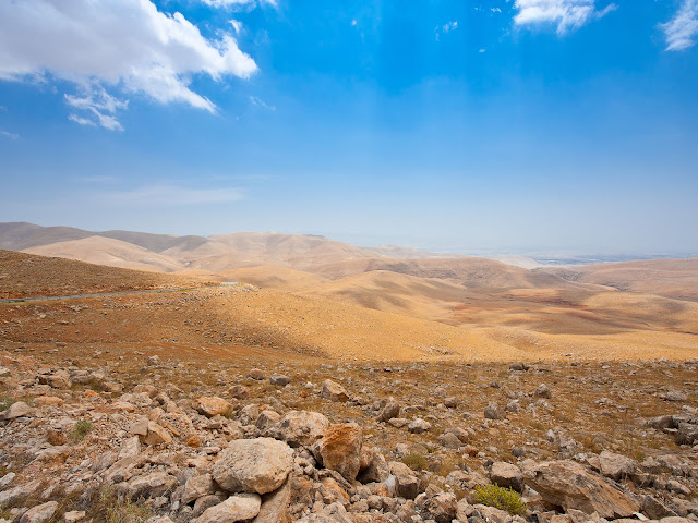 Background Wallpaper Israeli Desert6