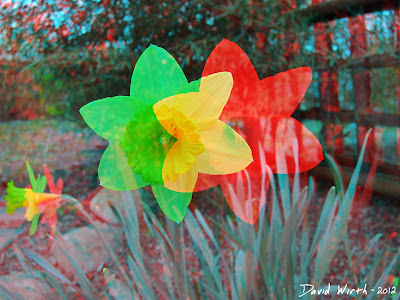 3D flower align